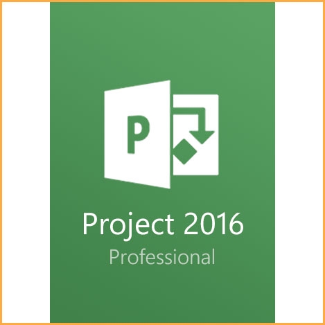 Microsoft Project Professional 2016 - 1 PC