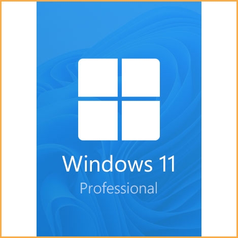 Windows 11 Professional 