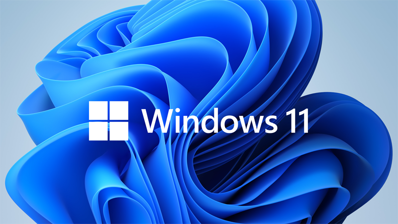 Windows 11 Home 5PCs